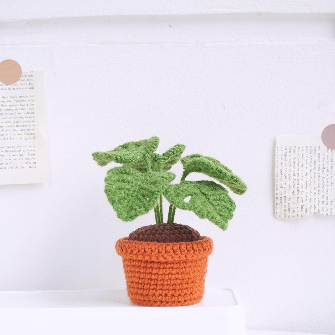 Monstera Deliciosa Pot Crochet Pattern
