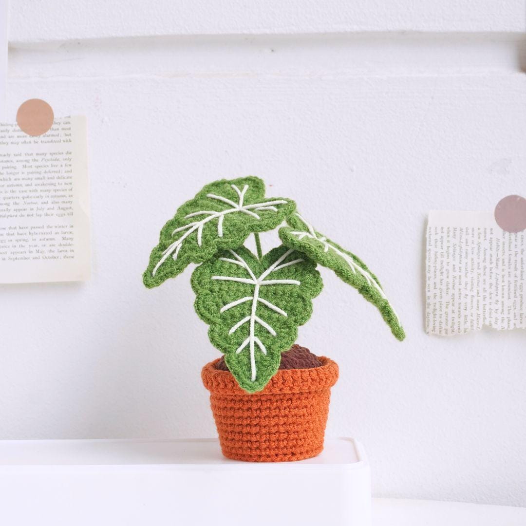 Alocasia Frydek Pot Crochet Pattern